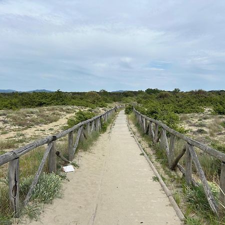 Il Mio Piccolo Angolo Di Mare Viareggio Eksteriør bilde
